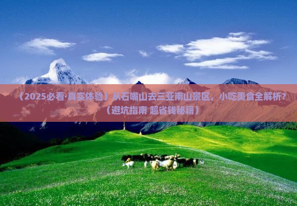 石嘴山出发三亚南山文化旅游区旅游小吃