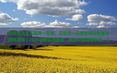 阿坝去三亚三亚湾一日游