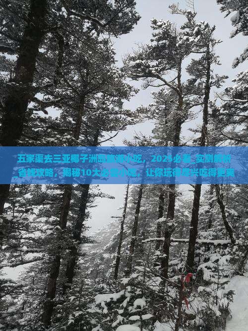 五家渠去三亚椰子洲岛旅游小吃