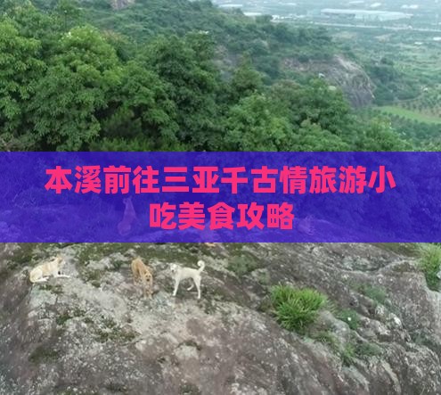 本溪前往三亚千古情旅游小吃
