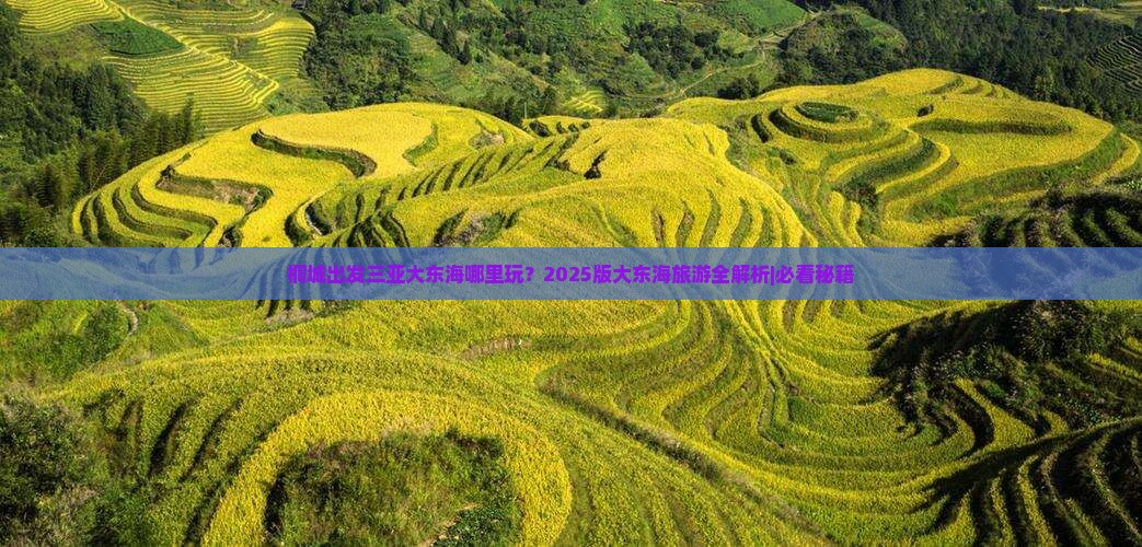 桐城出发三亚大东海哪里玩