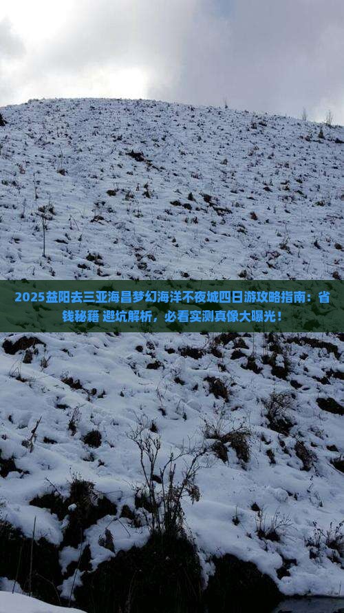 益阳去三亚海昌梦幻海洋不夜城四日游