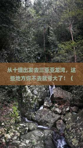 十堰出发三亚亚龙湾必玩地