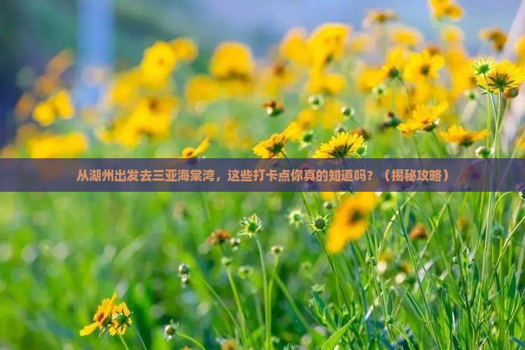 湖州前往三亚海棠湾旅游打卡点
