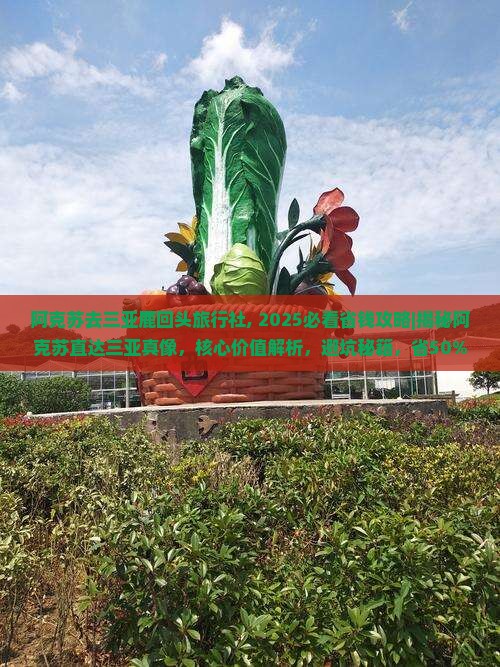 阿克苏去三亚鹿回头旅行社