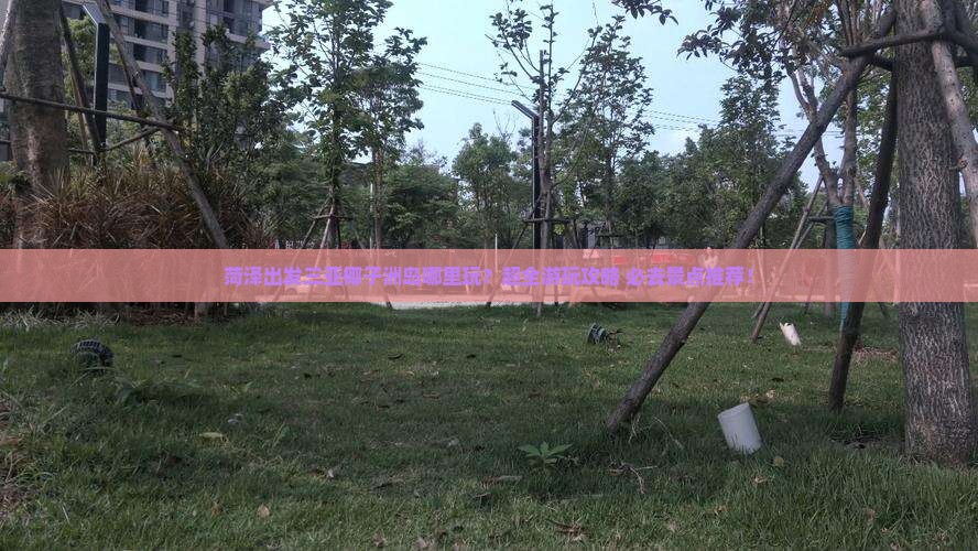 菏泽出发三亚椰子洲岛哪里玩