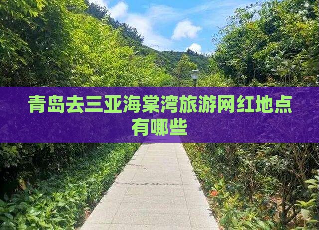 青岛去三亚海棠湾旅游网红地点