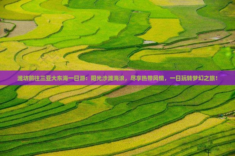 潍坊前往三亚大东海一日游