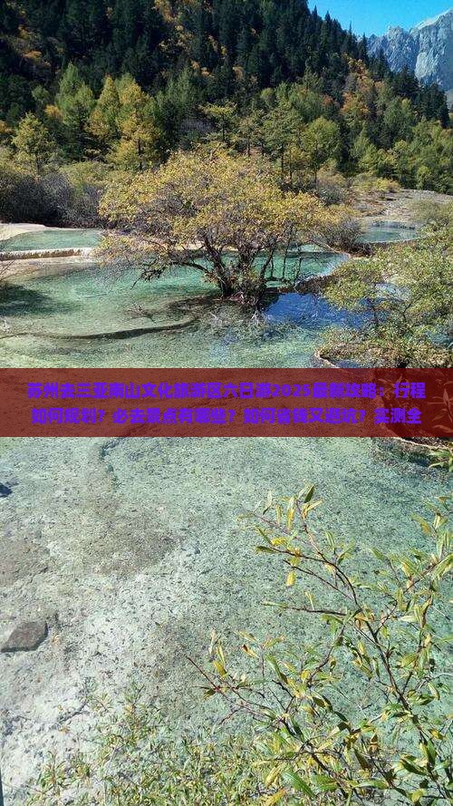 苏州去三亚南山文化旅游区六日游