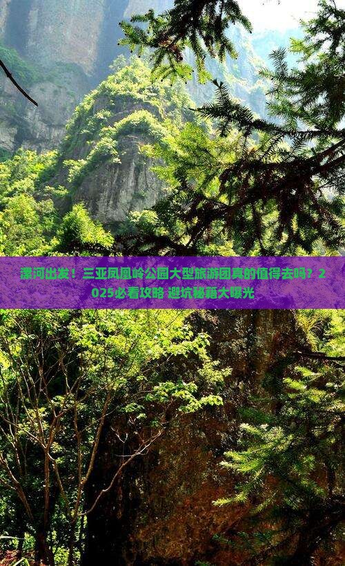 漯河出发三亚凤凰岭公园大型旅游团