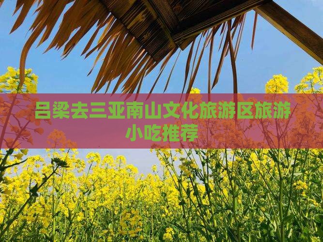 吕梁去三亚南山文化旅游区旅游小吃