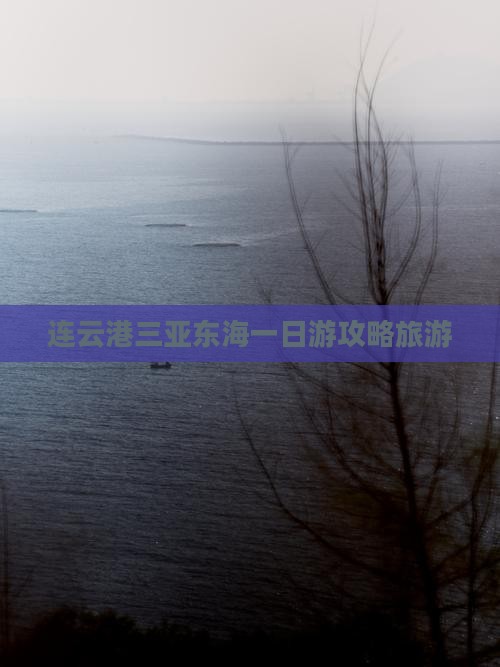 连云港前往三亚小东海一日游