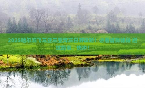 哈尔滨去三亚三亚湾三日游