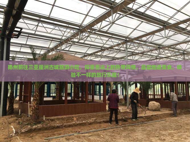 扬州前往三亚崖洲古城旅游小吃