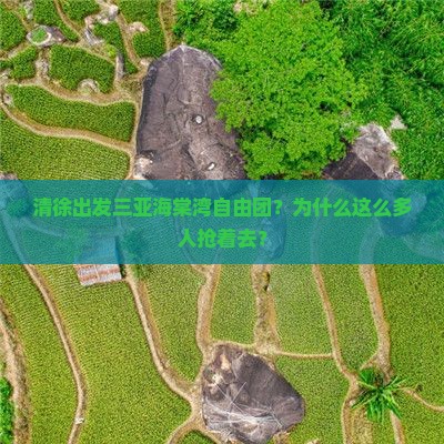 清徐出发三亚海棠湾自由团 清徐出发三亚海棠湾自由团