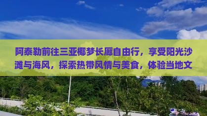 阿泰勒前往三亚椰梦长廊自由行