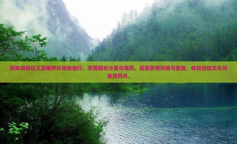 阿泰勒前往三亚椰梦长廊自由行