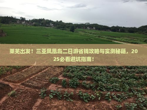 莱芜前往三亚凤凰岛二日游