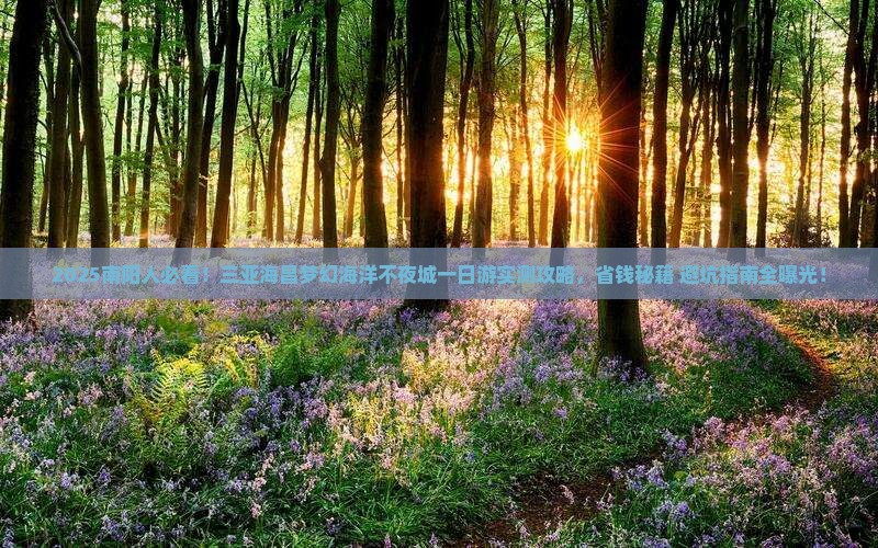 南阳去三亚海昌梦幻海洋不夜城一日游