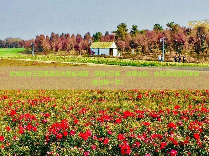 诸城出发三亚凤凰岛大型旅游团