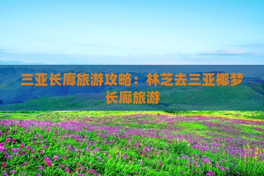 林芝去三亚椰梦长廊旅游