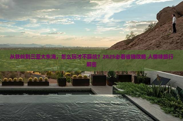 铁岭去三亚大东海攻略