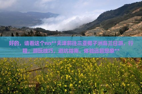 天津前往三亚椰子洲岛三日游