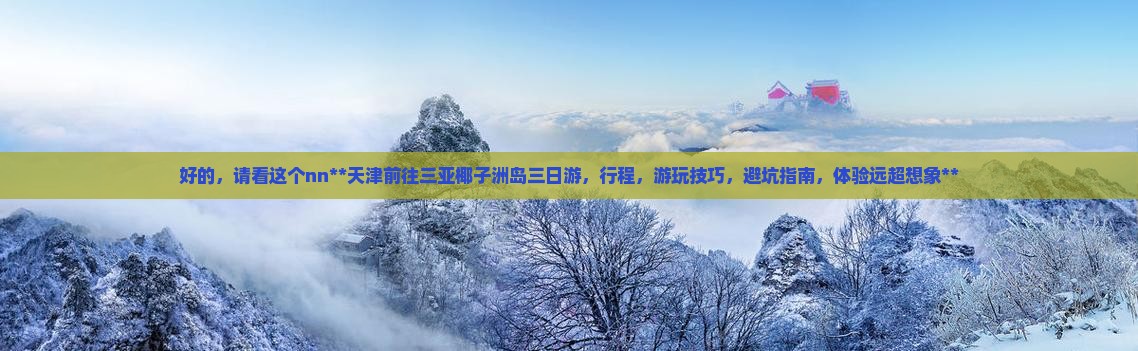 天津前往三亚椰子洲岛三日游