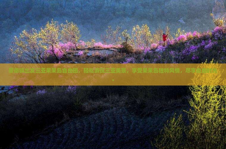 景德镇出发三亚呆呆岛自由团