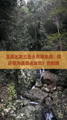 玉溪出发三亚大东海旅游