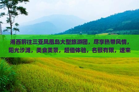 湘西前往三亚凤凰岛大型旅游团