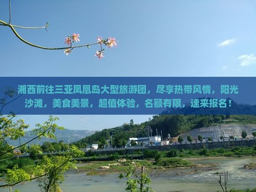 湘西前往三亚凤凰岛大型旅游团