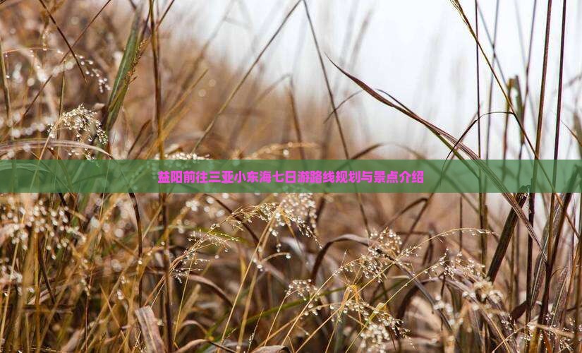 益阳前往三亚小东海七日游