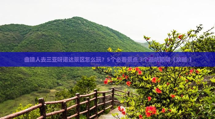 曲靖前往三亚呀诺达景区团体旅游