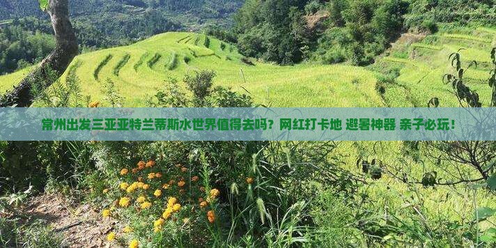 常州出发三亚亚特兰蒂斯水世界旅游网红地点