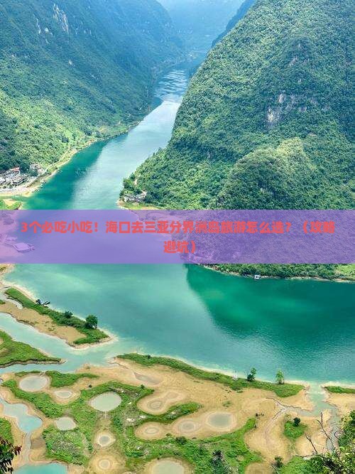 海口去三亚分界洲岛旅游小吃