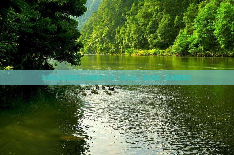 北京去三亚后海自由团