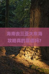 海南去三亚大东海攻略