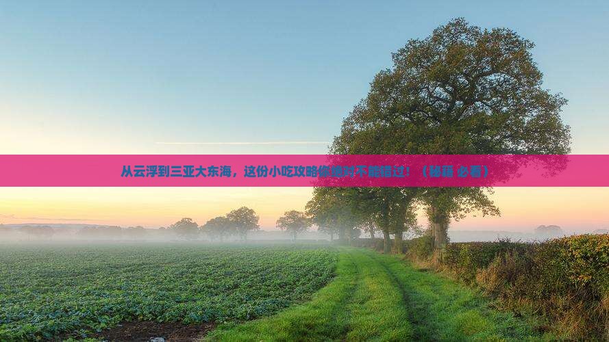 云浮前往三亚大东海旅游小吃