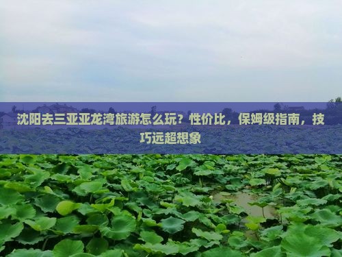 沈阳去三亚亚龙湾旅游