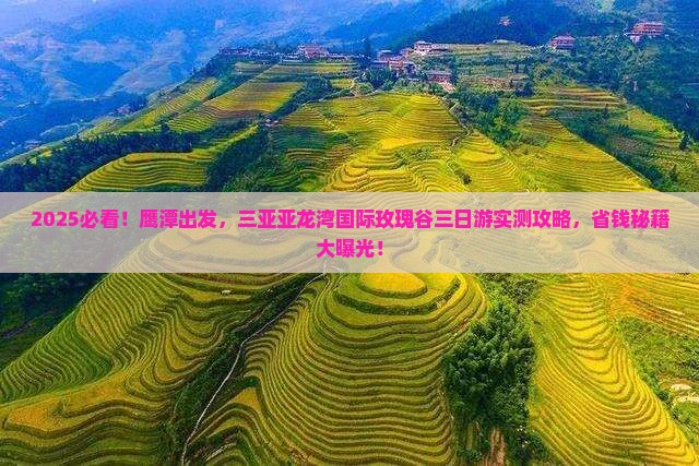鹰潭去三亚亚龙湾国际玫瑰谷三日游