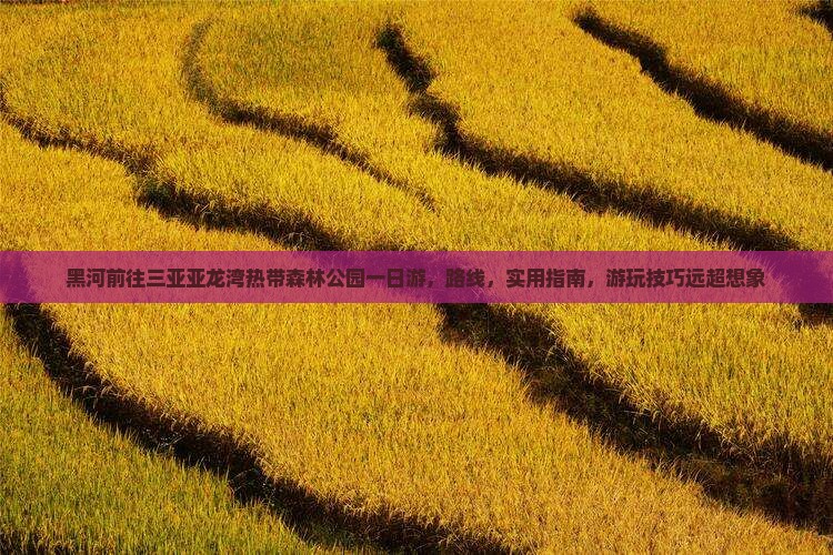 黑河前往三亚亚龙湾热带森林公园一日游