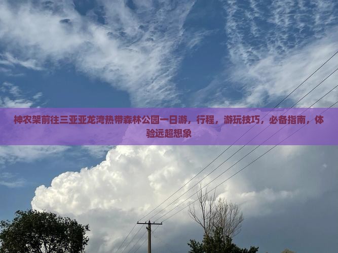 神农架前往三亚亚龙湾热带森林公园一日游