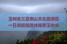 玉树去三亚南山文化旅游区一日游