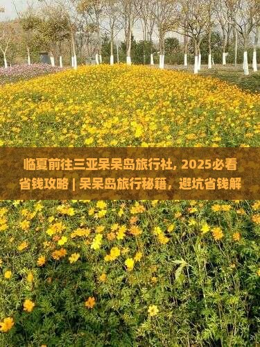 临夏前往三亚呆呆岛旅行社