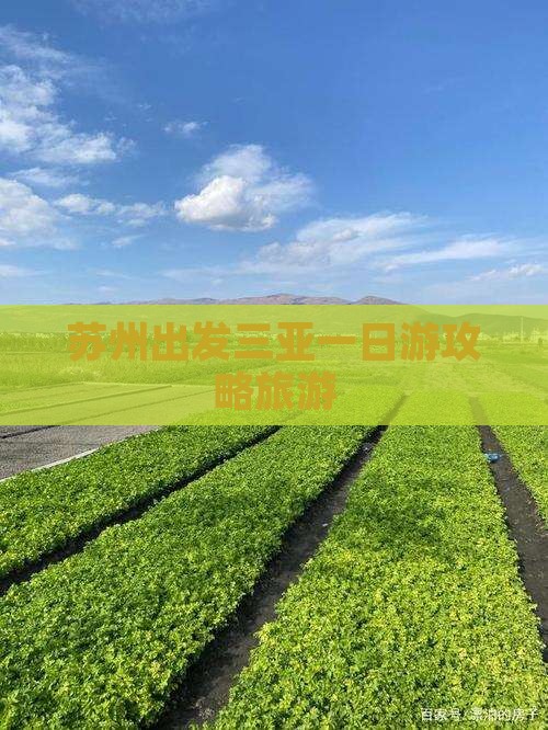 苏州出发三亚三亚湾一日游
