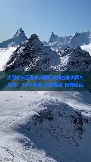 沈阳去三亚亚龙湾国际玫瑰谷旅游网红地点