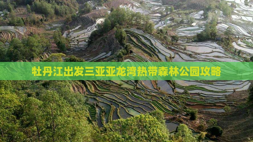 牡丹江出发三亚亚龙湾热带森林公园攻略