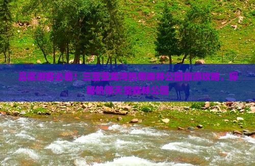 吕梁前往三亚亚龙湾热带森林公园哪里玩