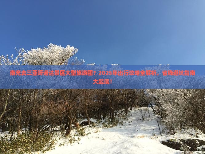 南充去三亚呀诺达景区大型旅游团